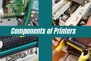 Components of Printers Every Part Matters for Perfect Prints